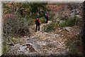 P6051169.JPG