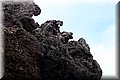 P6051186.JPG