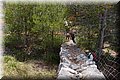 P6051208.JPG