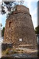 P6051230.JPG