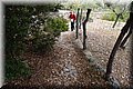 P6051253.JPG