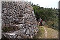 P6051254.JPG