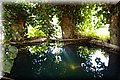 P6051260.JPG