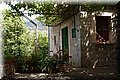 P6051264.JPG