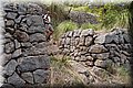 P6051283.JPG