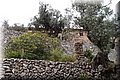 P6051287.JPG