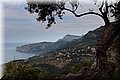 P6051297.JPG
