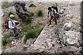 P6051303.JPG