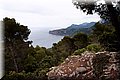 P6051327.JPG