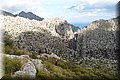 P6081360.JPG