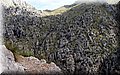 P6081367.JPG