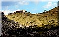 P6081369.JPG