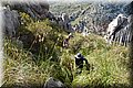 P6081399.JPG