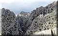 P6081400.JPG