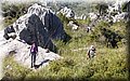 P6081405.JPG