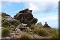 P6081459.JPG