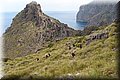 P6081468.JPG