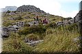 P6081469.JPG