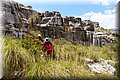 P6081470.JPG