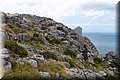 P6081474.JPG