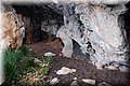 P6081477.JPG