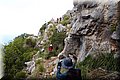P6081480.JPG