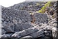P6081500.JPG