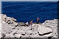 P6081506.JPG