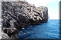 P6081510.JPG