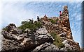 P6081567.JPG