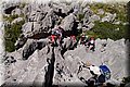 P6081580.JPG