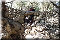 P6081658.JPG