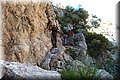 P6081702.JPG