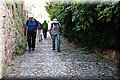 P6101748.JPG