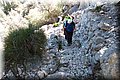 P6101763.JPG