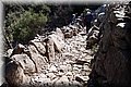 P6101764.JPG