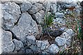 P6101775.JPG