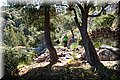 P6101781.JPG