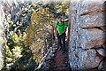 P6101784.JPG