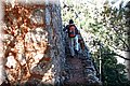 P6101786.JPG