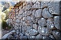 P6101787.JPG