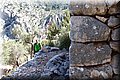P6101788.JPG