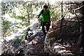 P6101789.JPG