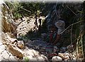P6101799.JPG