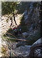P6101800.JPG