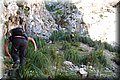 P6101809.JPG