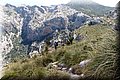 P6101860.JPG