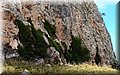 P6101861.JPG