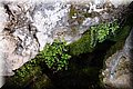 P6101917.JPG