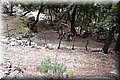 P6101925.JPG